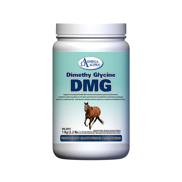 Dimethyl Glycine (DMG) Performance  And Recovery Product