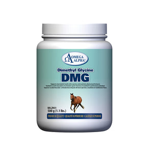 Dimethyl Glycine (DMG) Performance  And Recovery Product