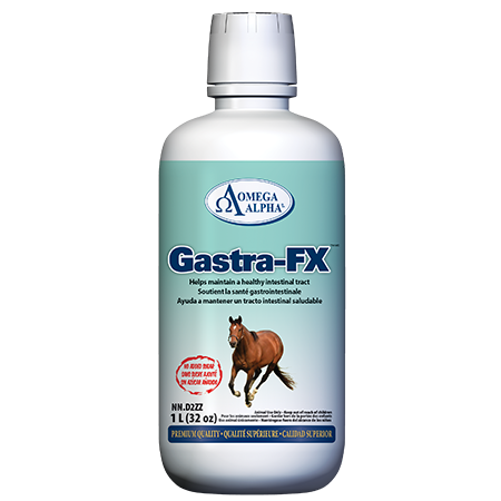 Gastra-FX™ Helps Maintain A Healthy Intestinal Tract